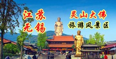 粉嫩穴抽插免费视频下载江苏无锡灵山大佛旅游风景区